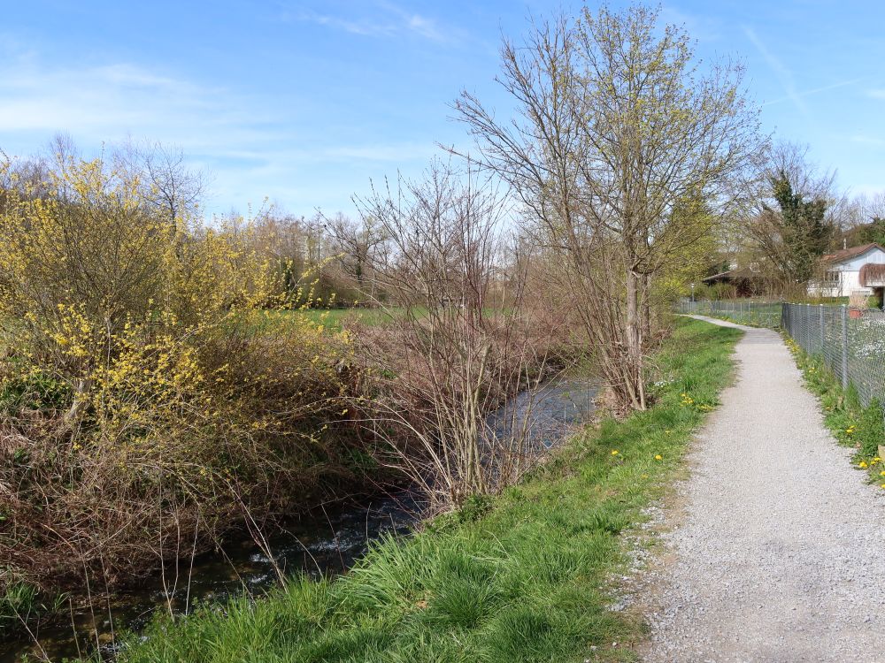 Riedweg am Wildbach