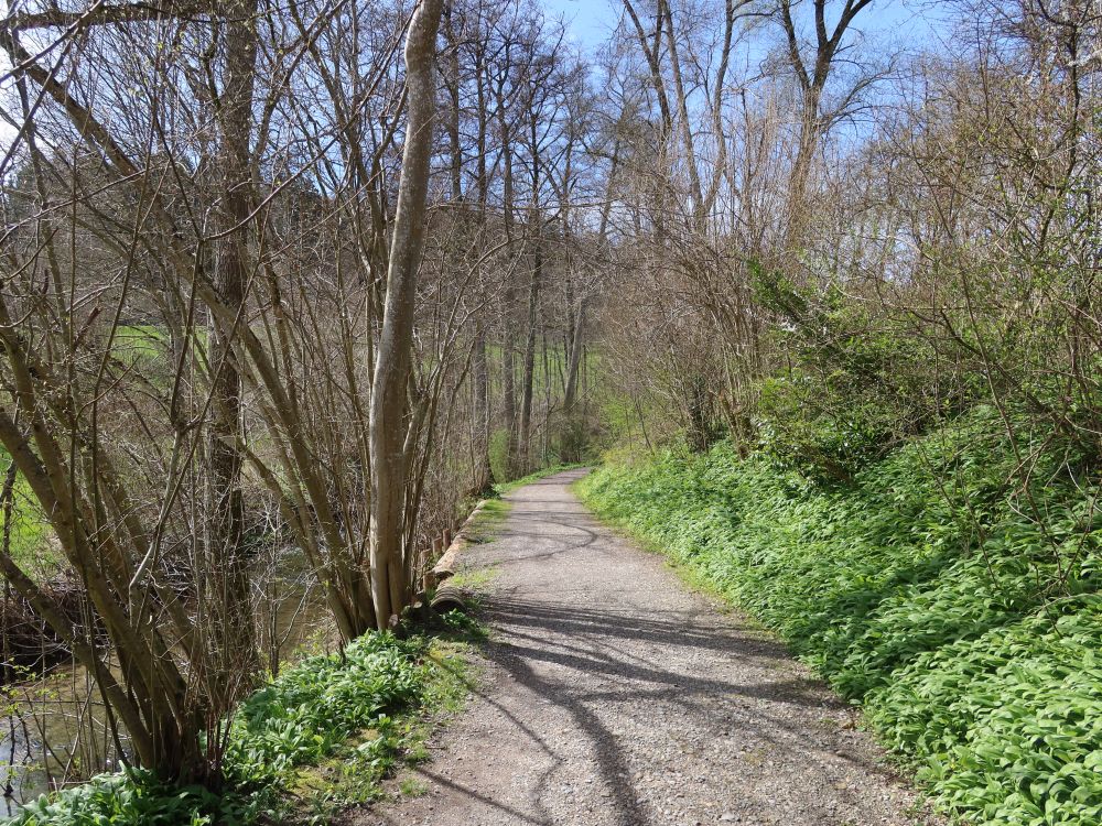 Riedweg am Wildbach