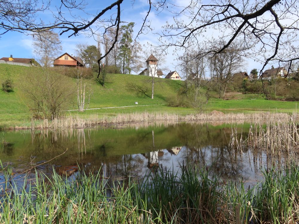 Teich bei der Haumühle