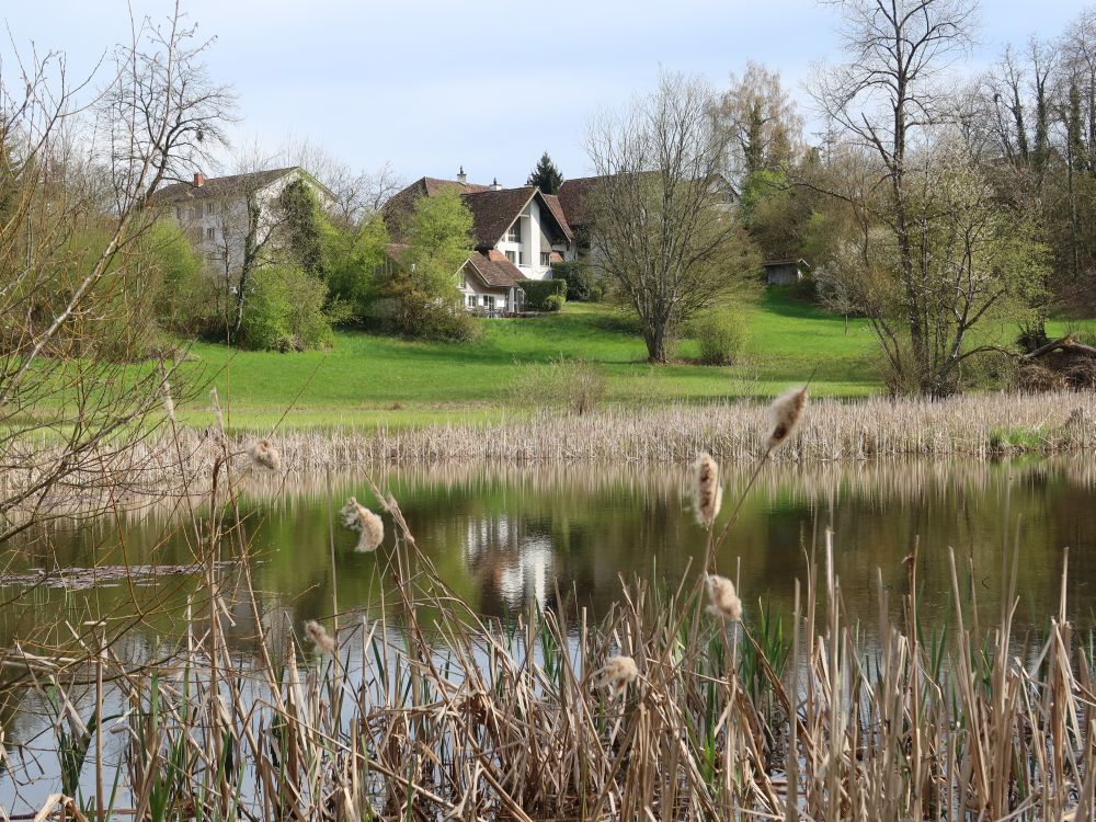 Teich bei der Haumühle