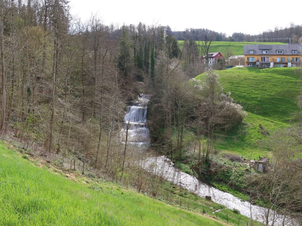 Wildbach-Wasserfall Rorbas