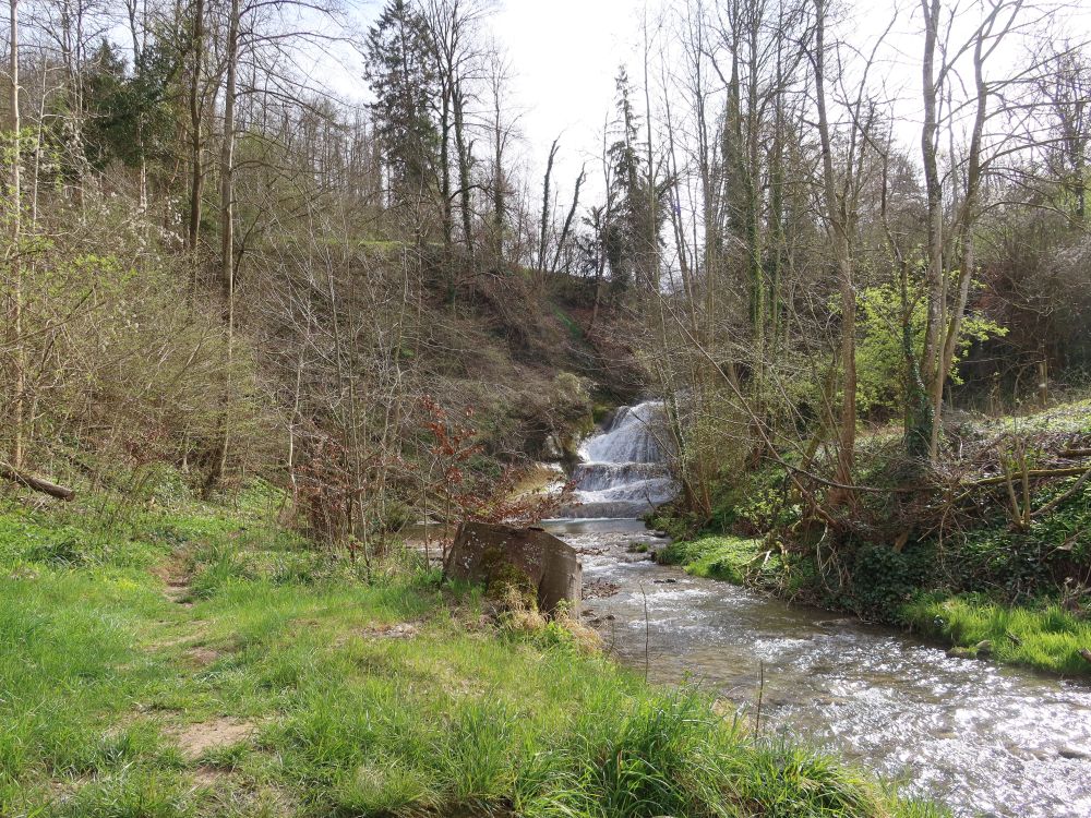 Wildbach-Wasserfall Rorbas