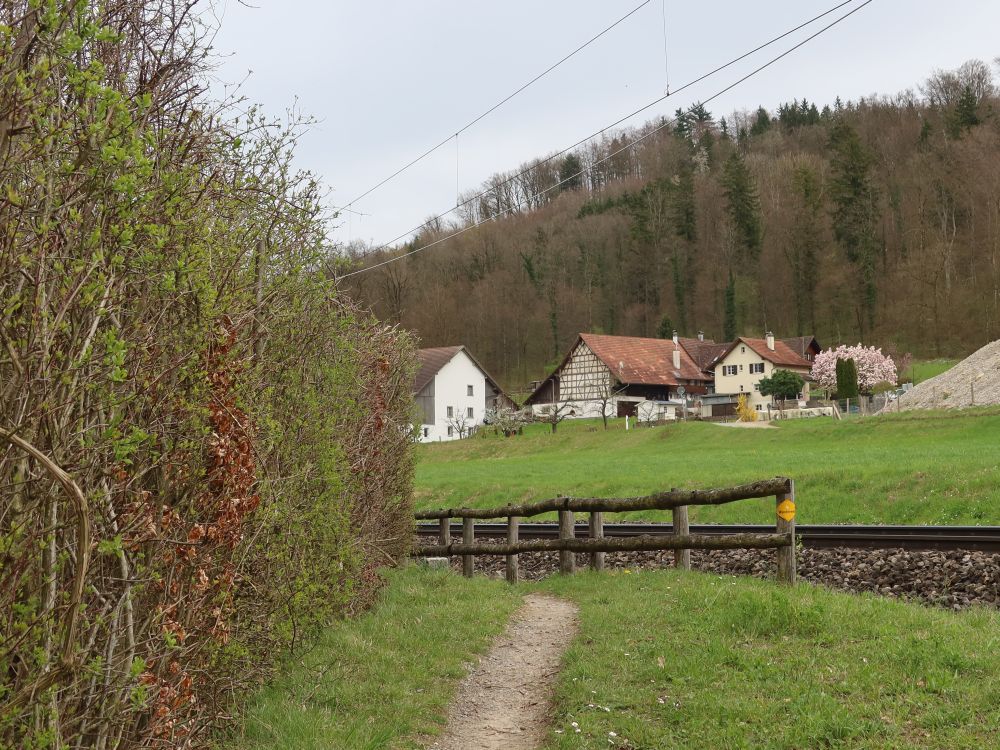 Ziegelhütte