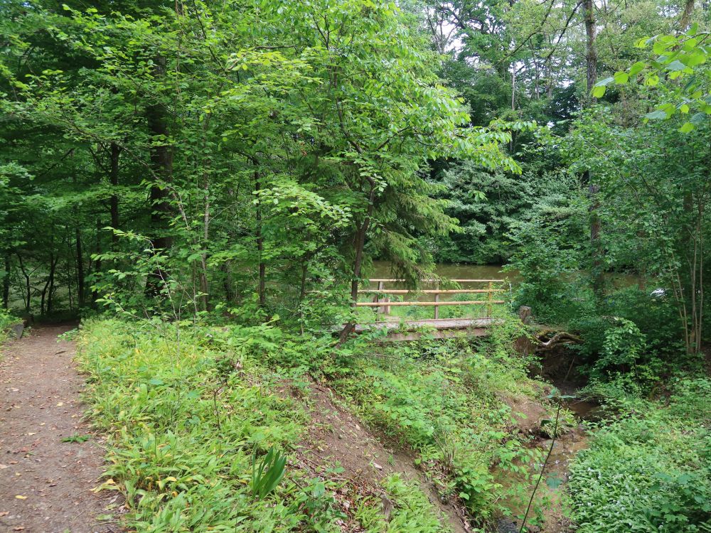 Steg am Lochmüliweiher