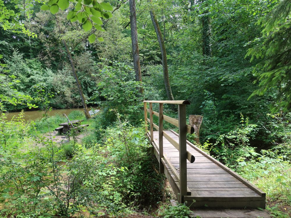 Steg am Lochmüliweiher