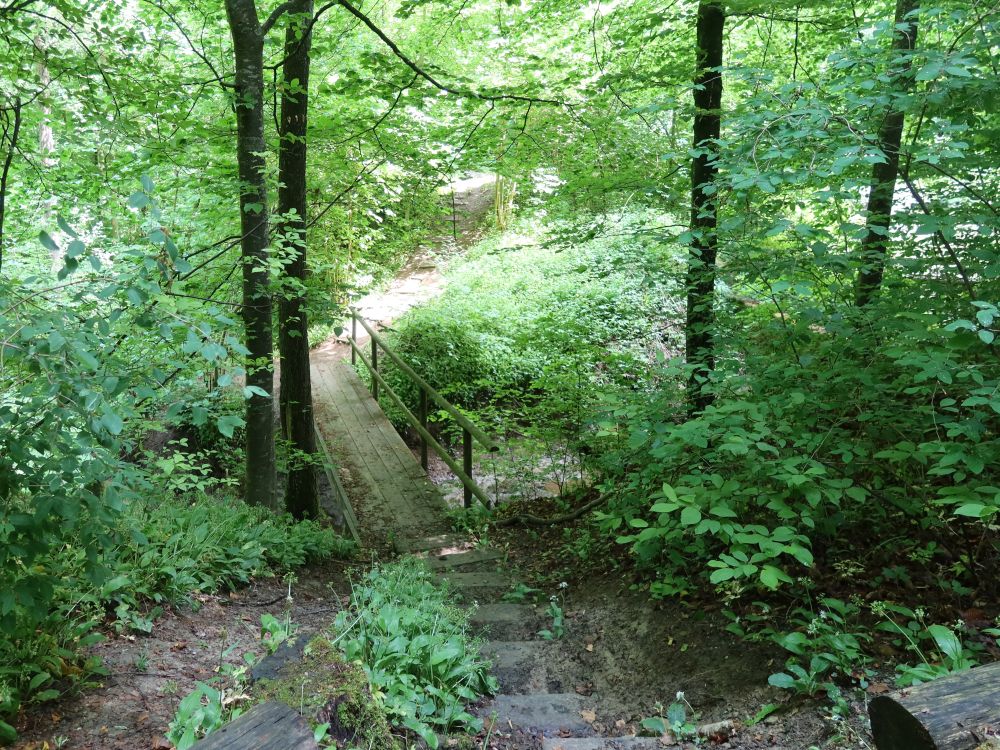 Steg am Lochmüliweiher