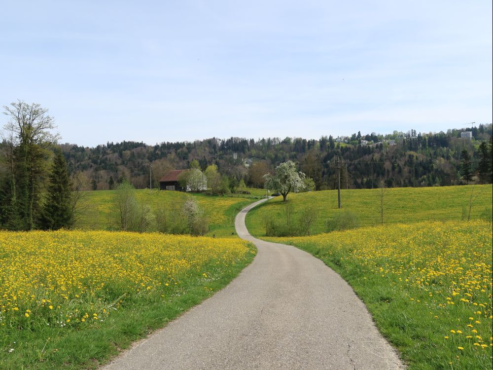 Rüti am Hätterenweg