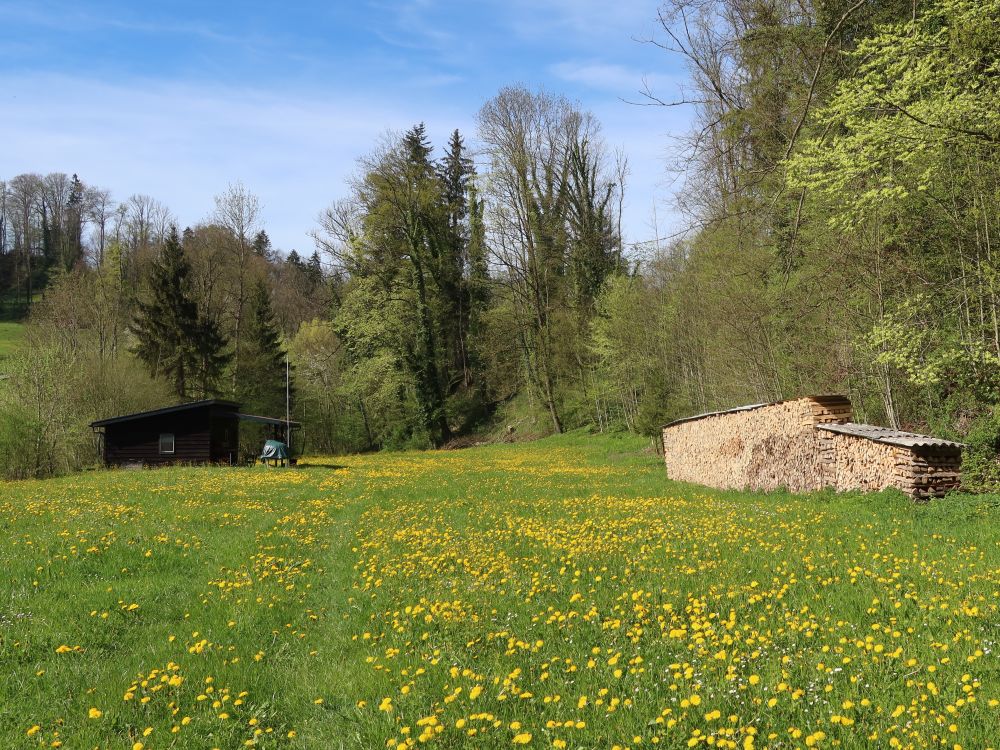 Wiesenpfad zur Grillhütte