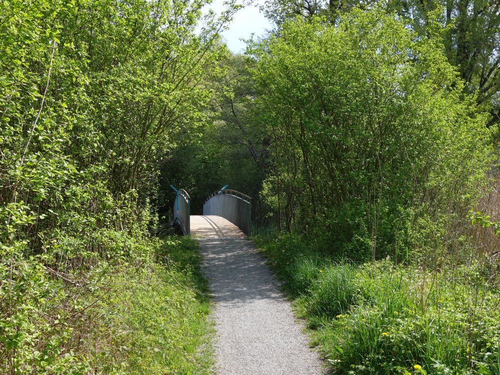 Holzbrücke