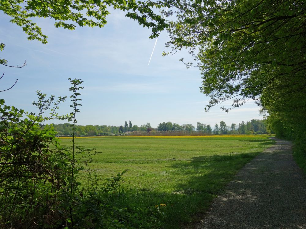 Eriskircher Riedweg