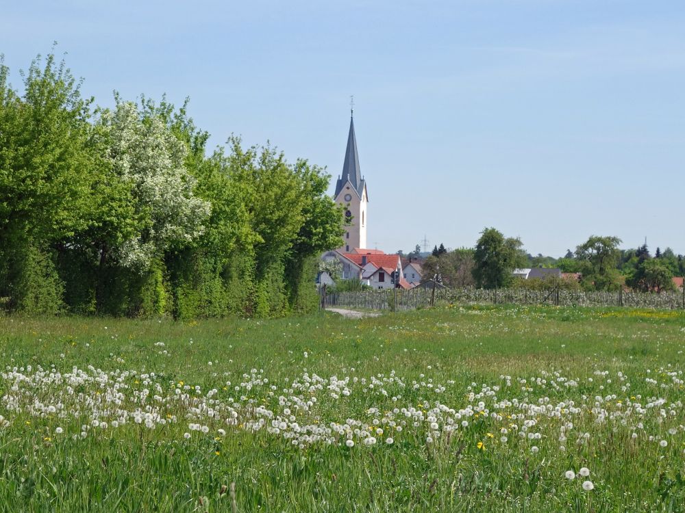 Kirche Eriskirch