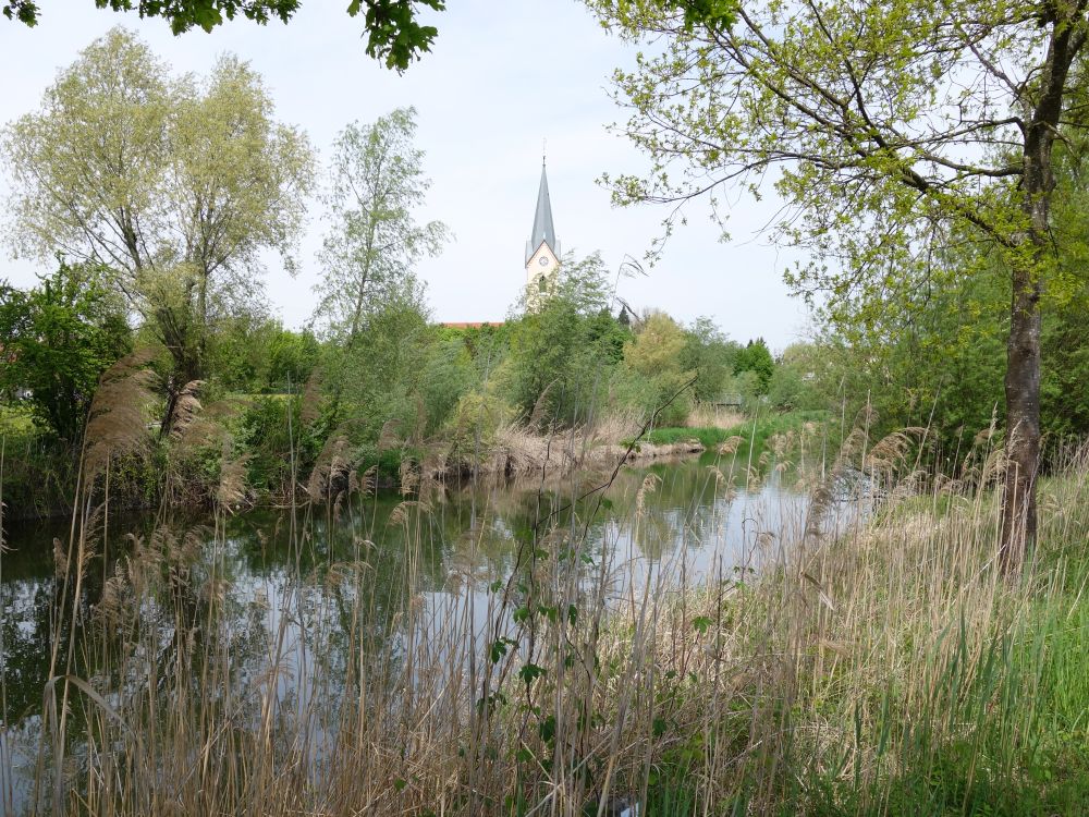 Schussen und Kirchturm Eriskirch