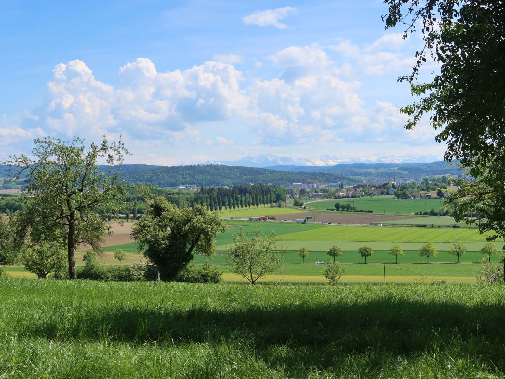 Blick Richtung Oberwinterthur