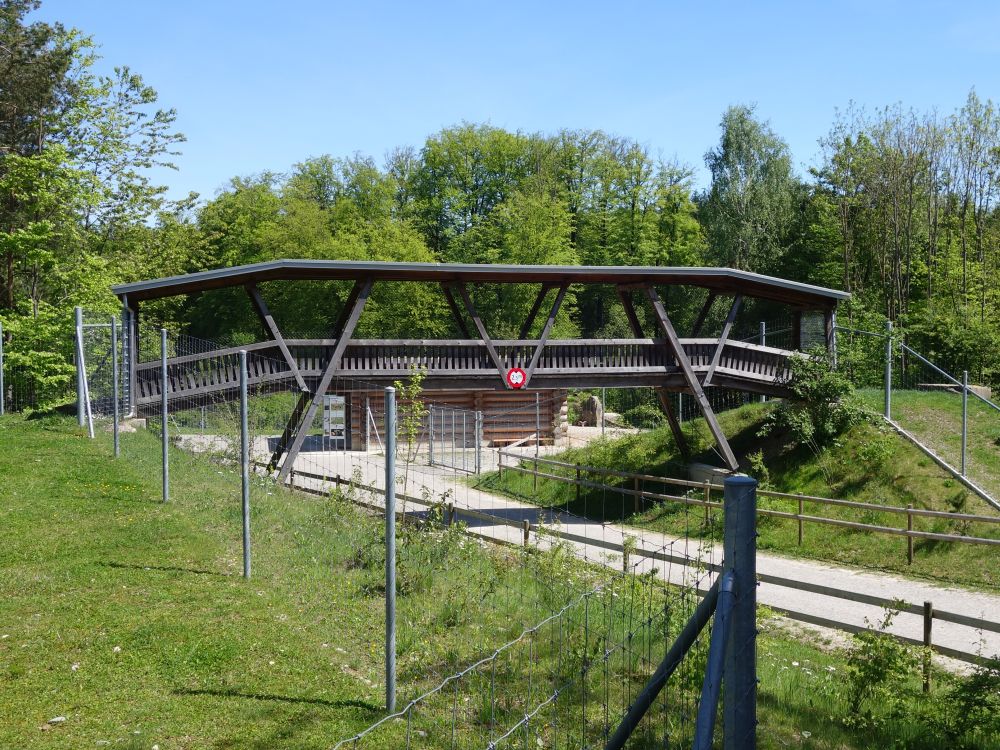 Tierbrcke im Wildpark