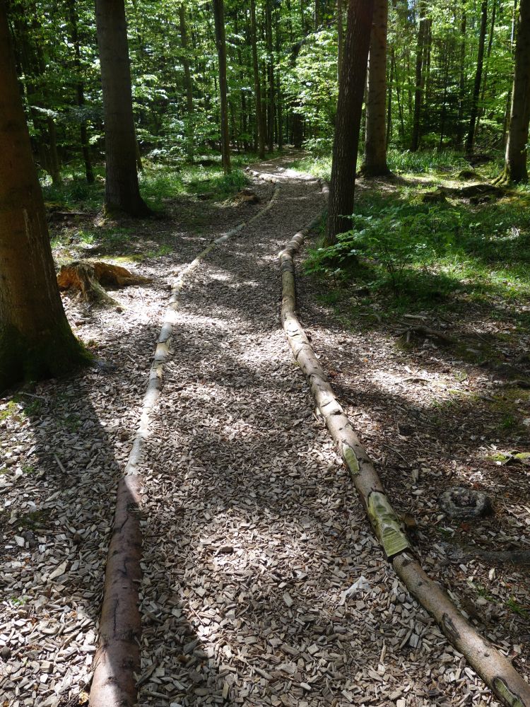 Waldweg