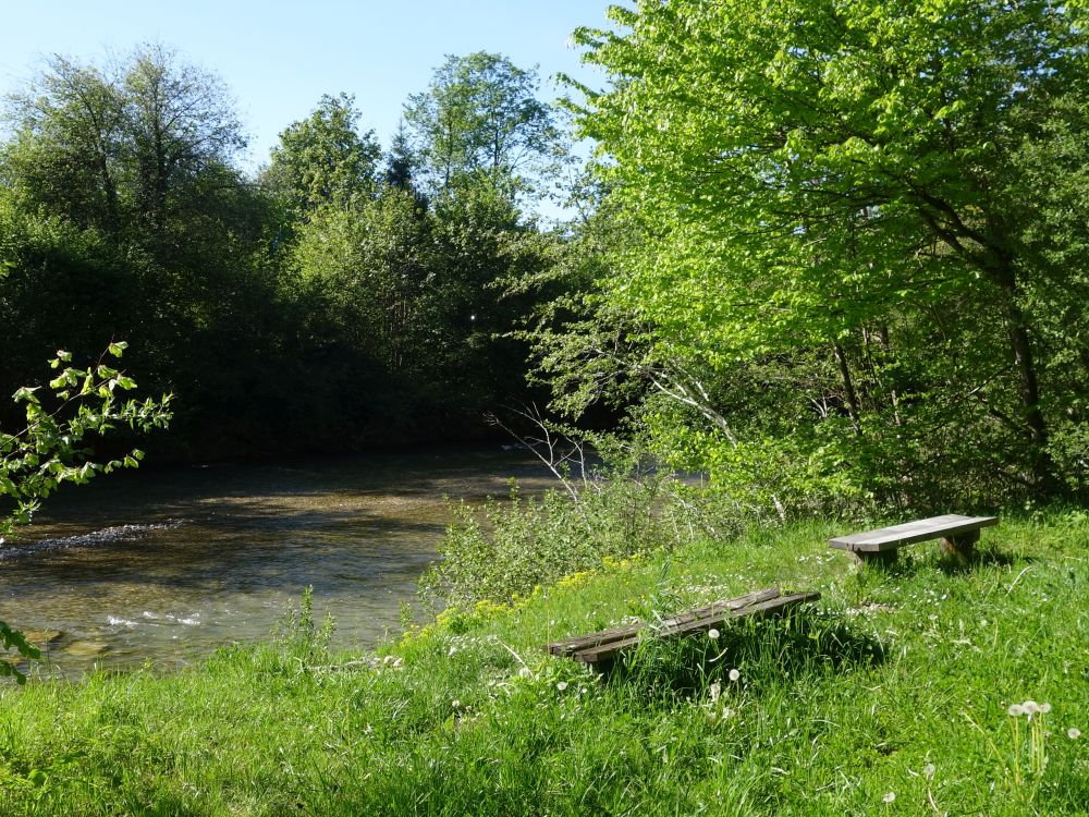Sitzbänke am Tössufer