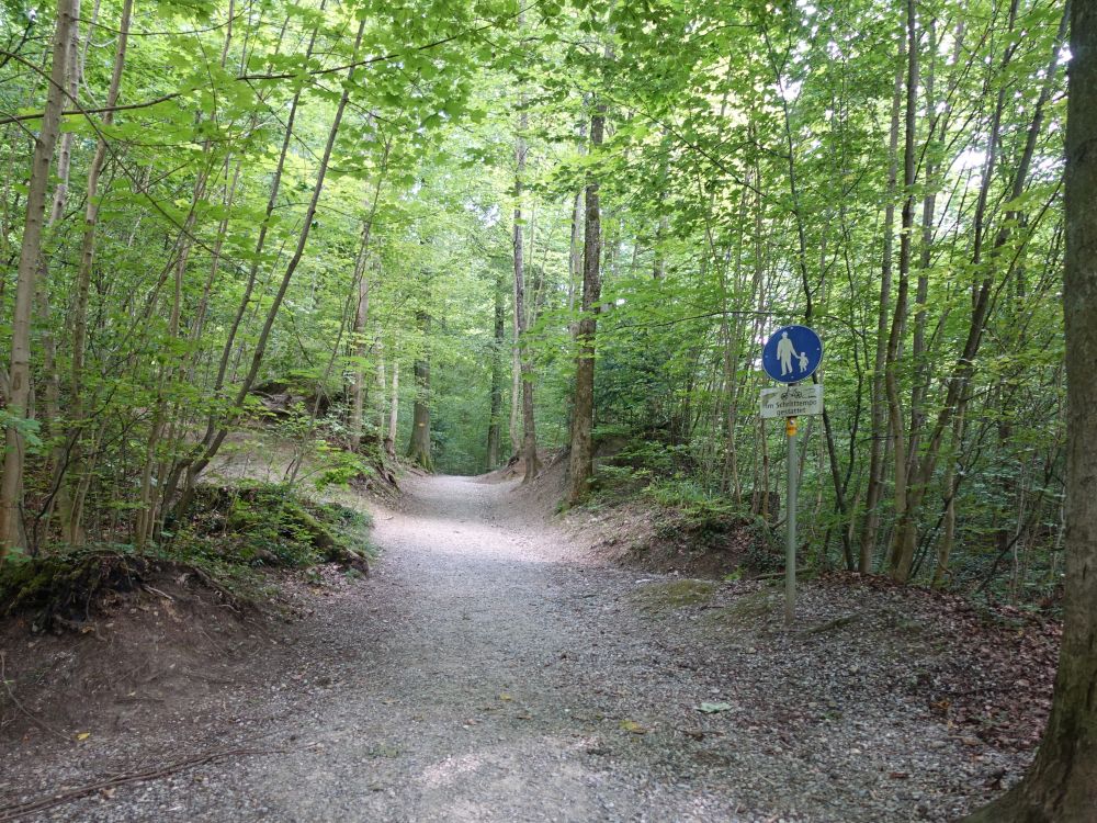 Bergweg bei Breite