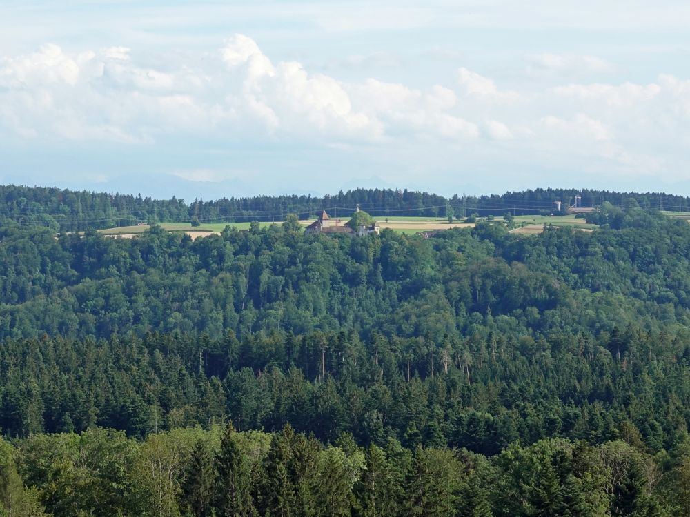 Blick Richtung Kyburg