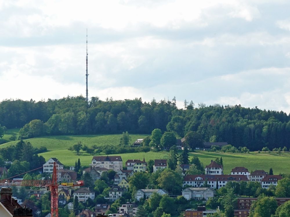 Blick zum Brüelbergturm