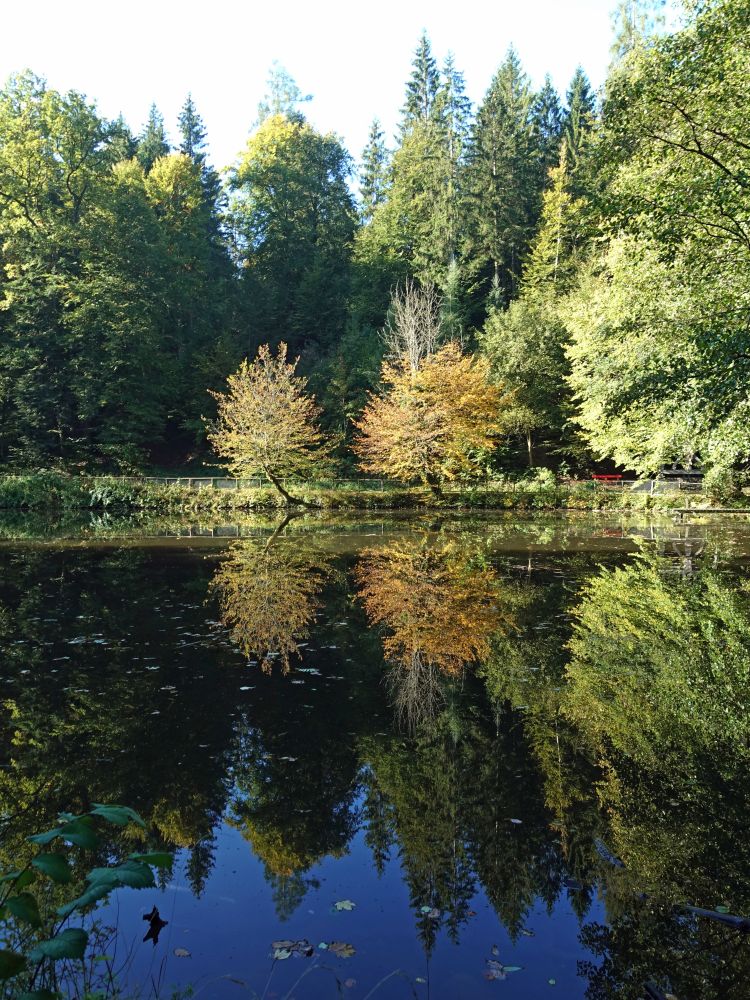 Spiegelung im Fünfweier