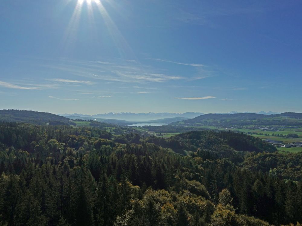 Berner Alpen und Hallwilersee