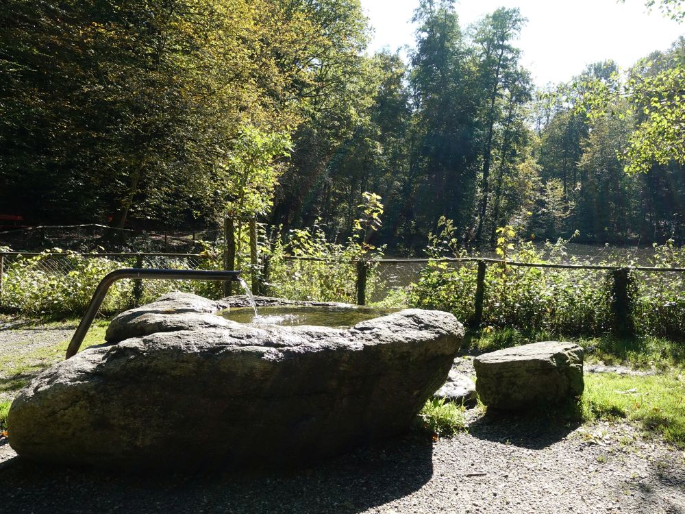 Brunnen am Fünfweier