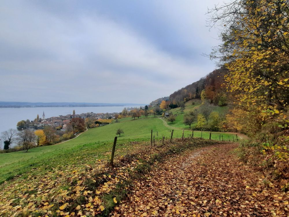 Blick Richtung Berlingen