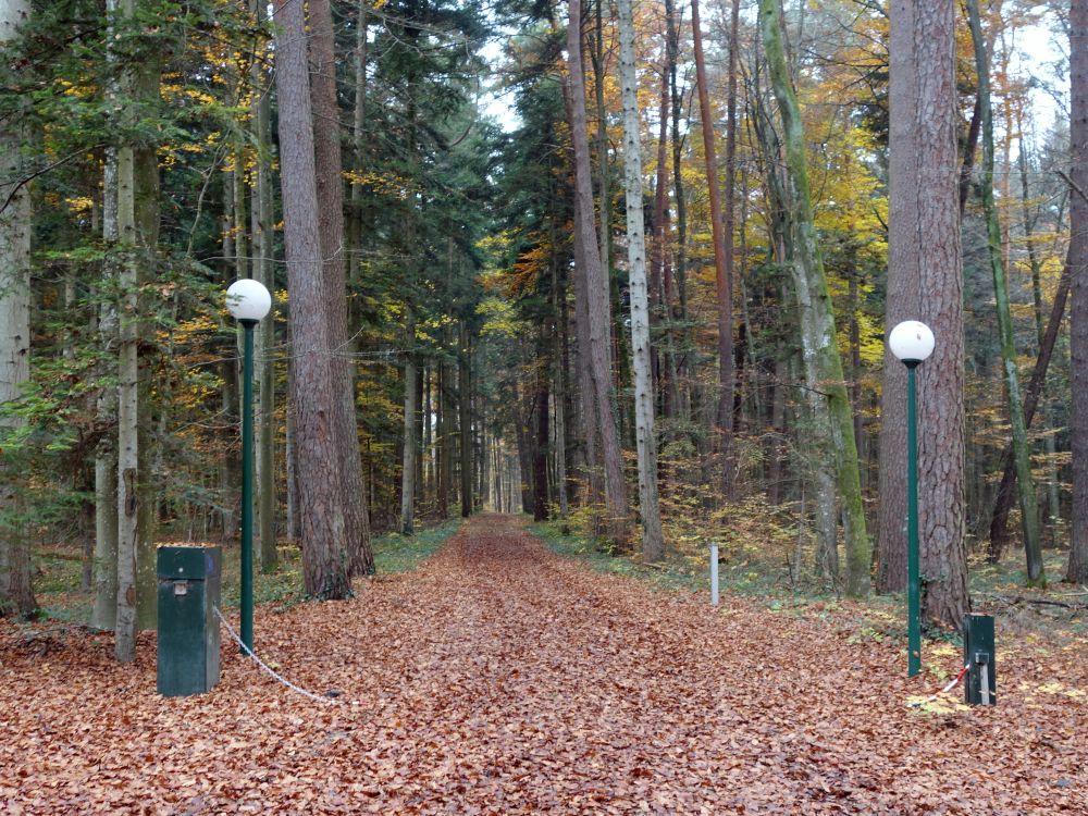 Pforte zu Schloss Eugensberg