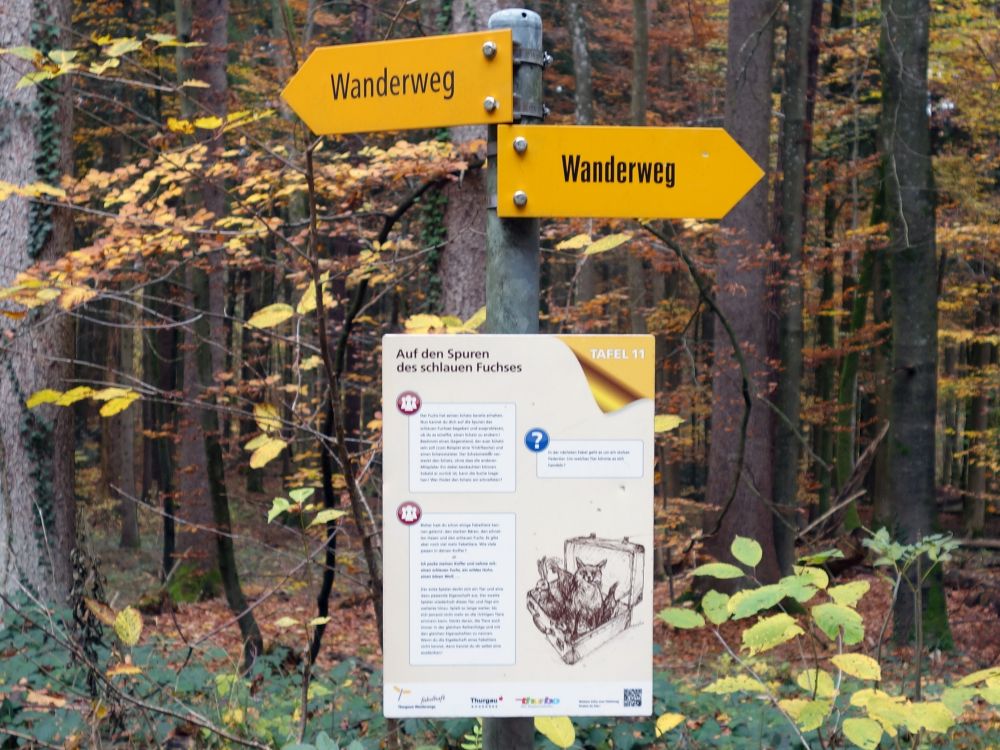 Wanderwegweiser und Infotafel