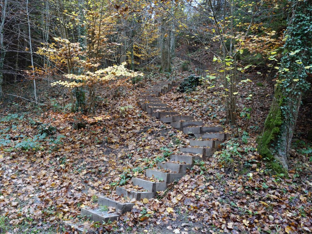 Holztreppe im Chessel