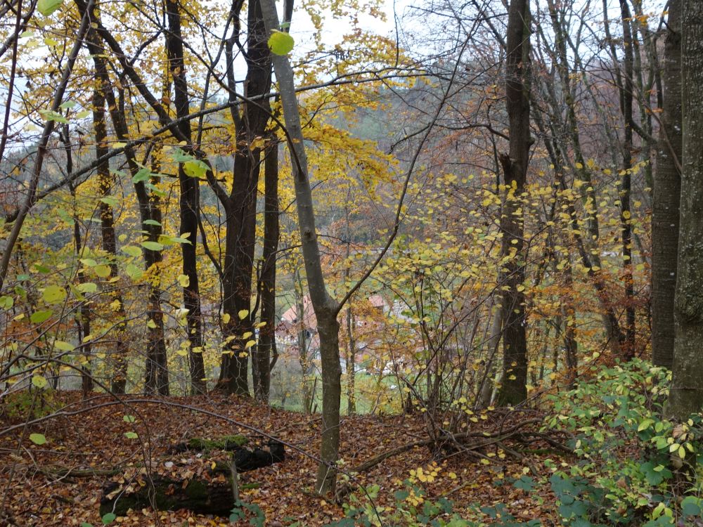 Blick auf Obermüli