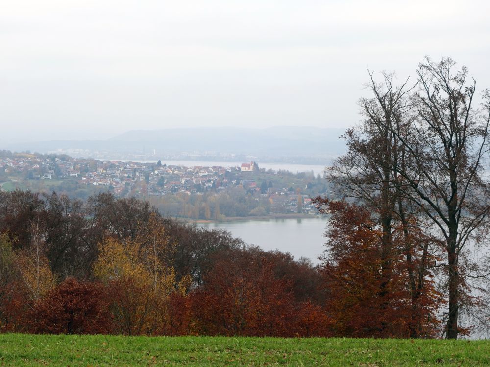 Blick zur Höri