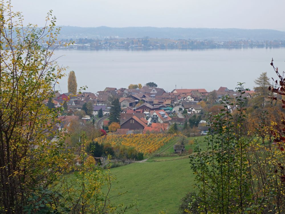 Berlingen