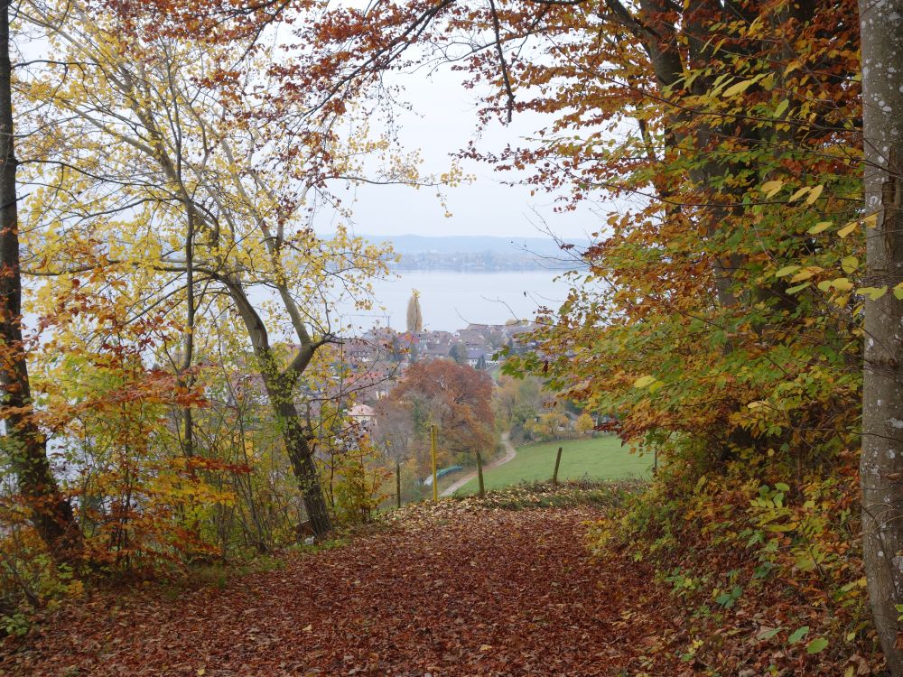 Blick Richtung Berlingen