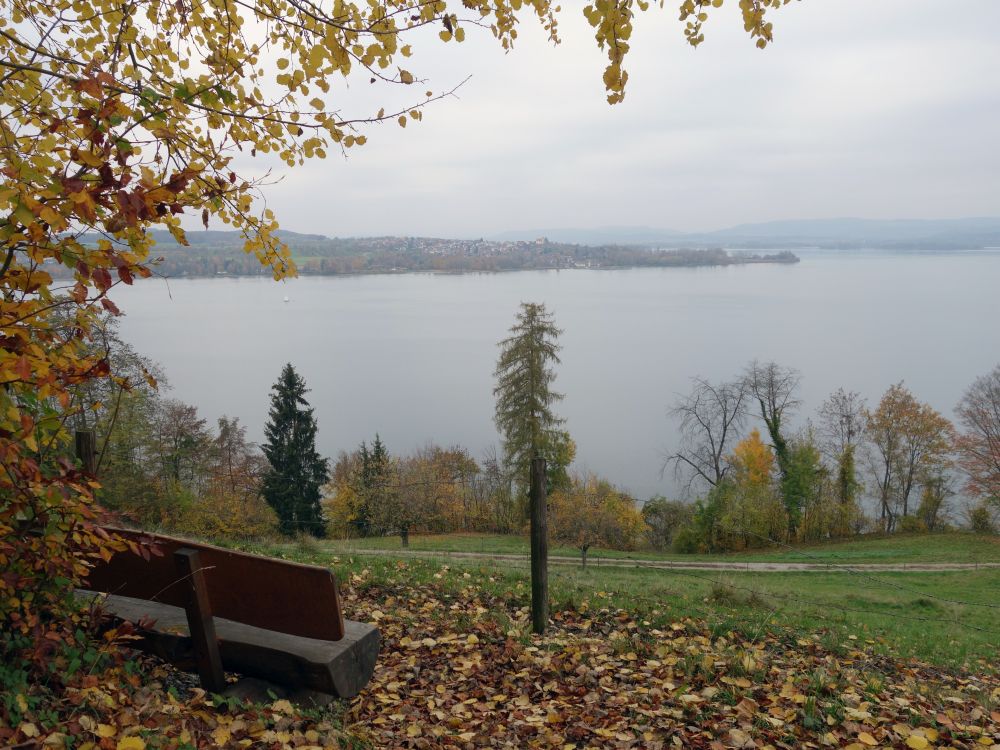 Blick zur Halbinsel Höri