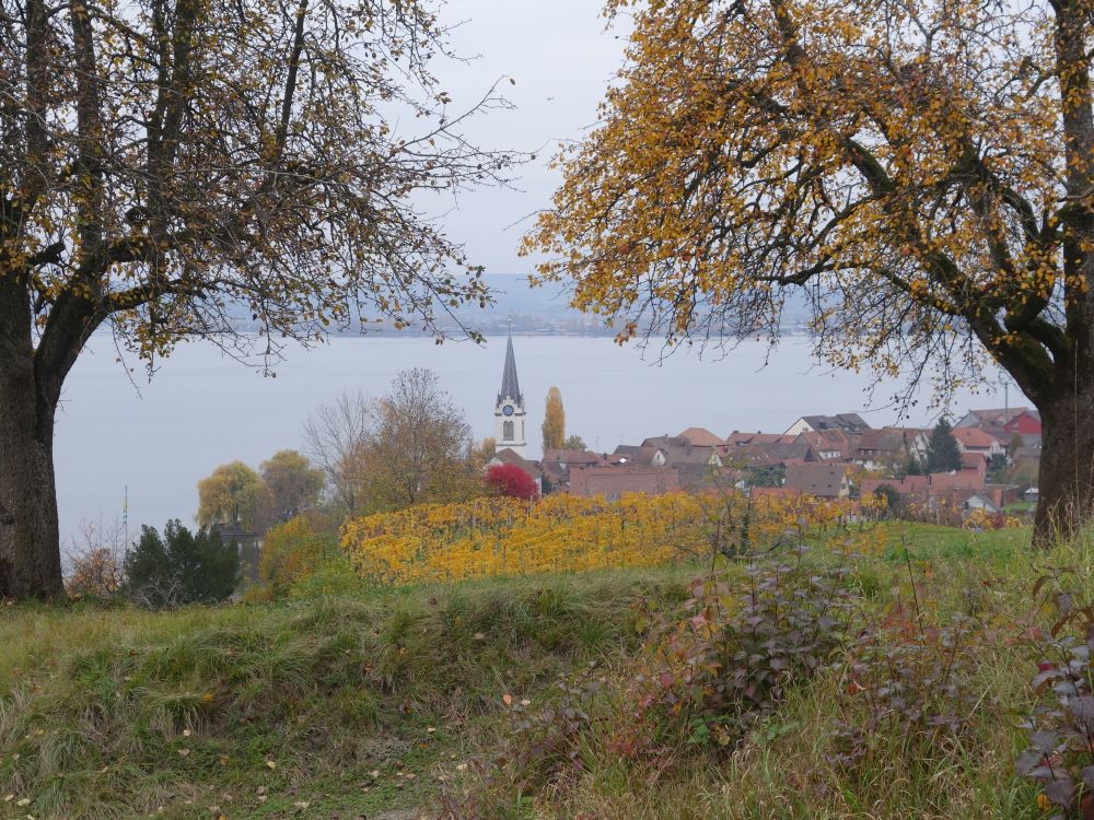 Weinberg über Berlingen