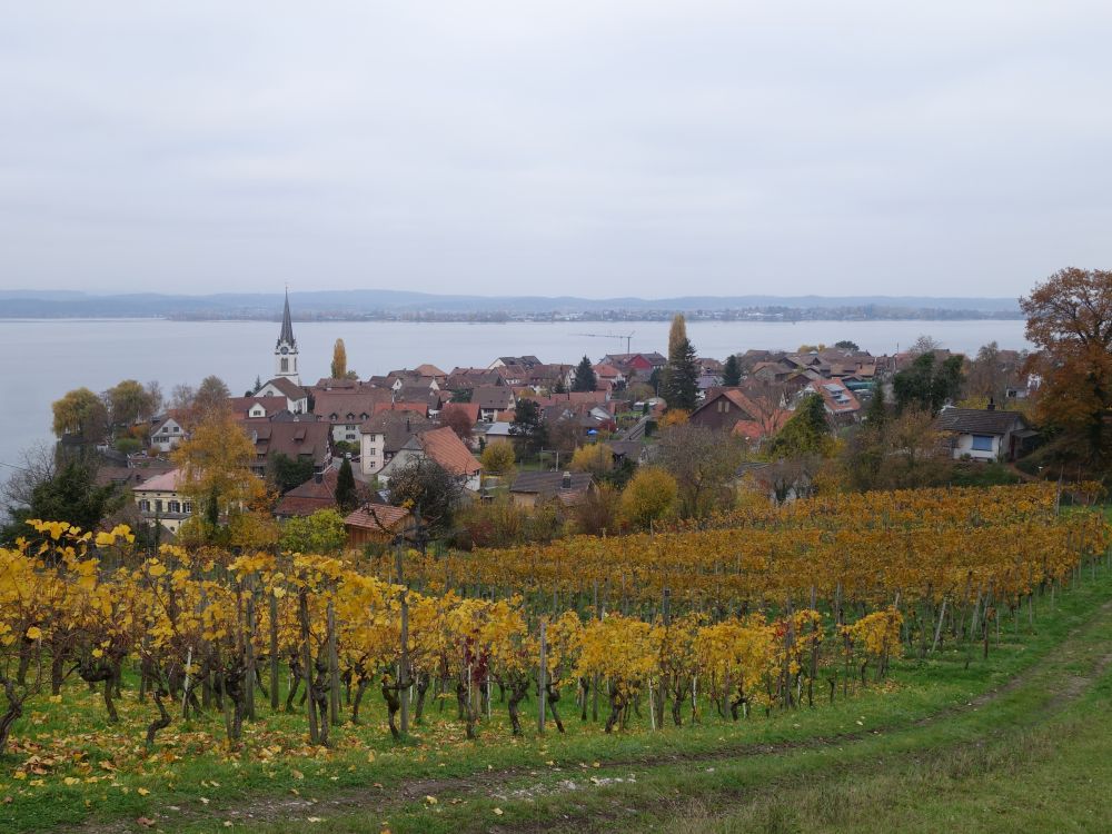 Weinberg über Berlingen