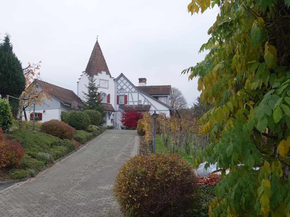 Haus in Berlingen