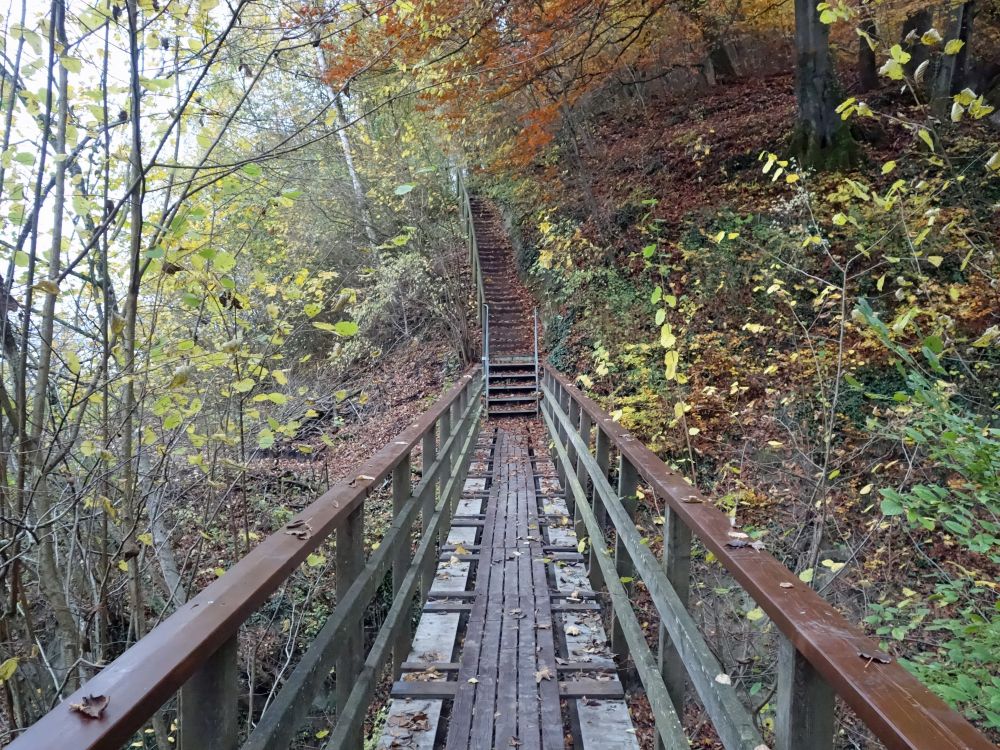 Holzsteg bei Wasserfalle