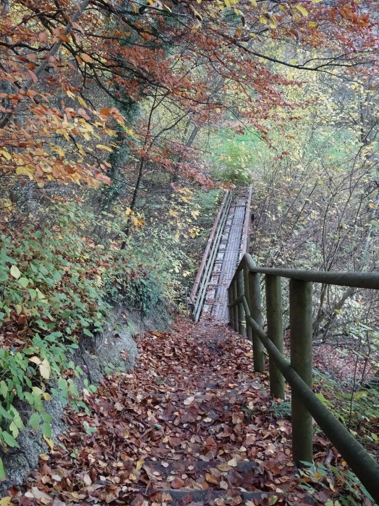 Holzsteg bei Wasserfalle