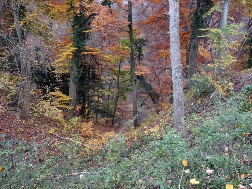 Blick ins Zällerloch