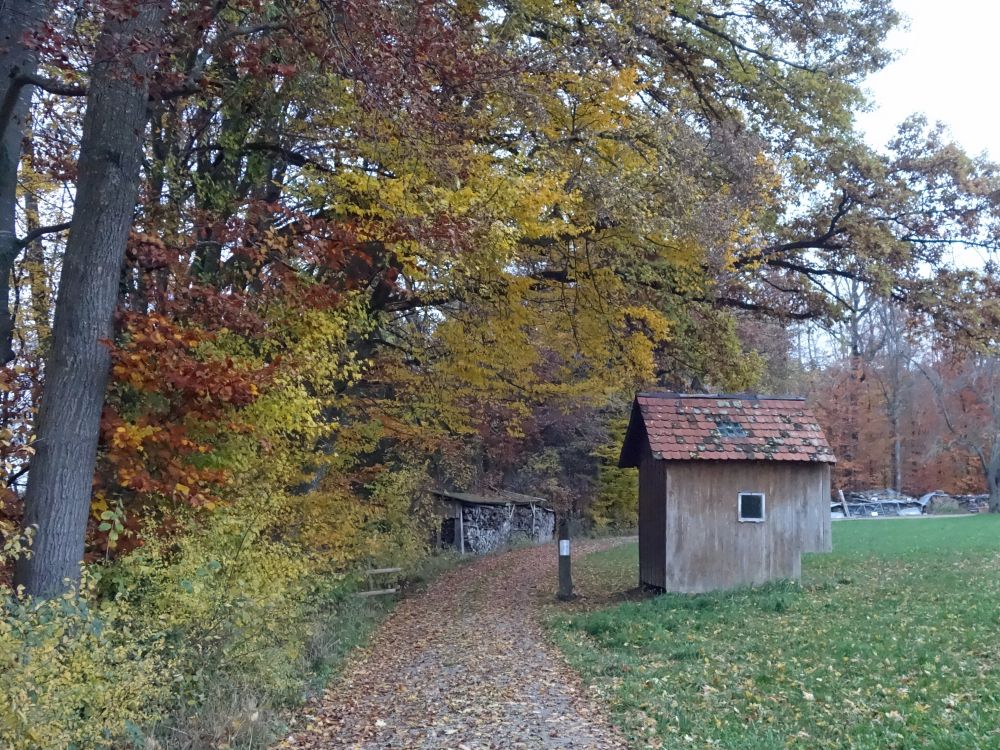 Weg über dem Rüütelitobel