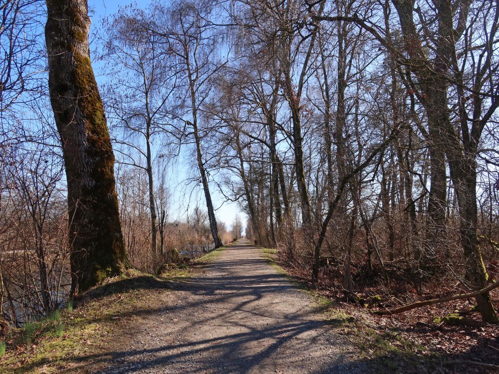 Glattweg