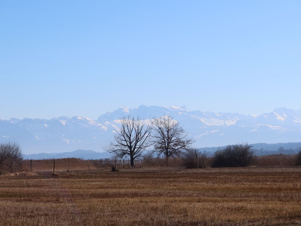 Alpen im Dunst