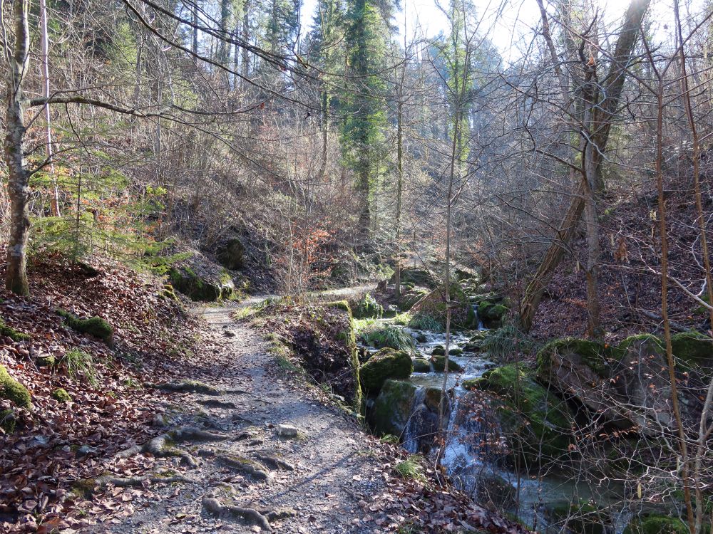 Pfad im Jörentobel