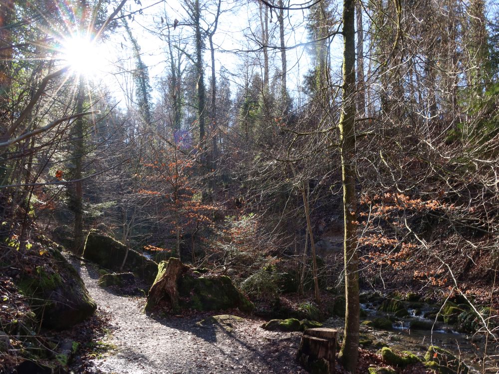 Jörentobel