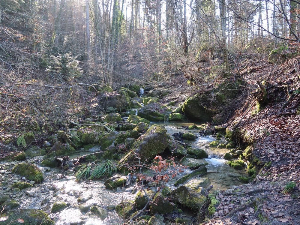 Jörentobel