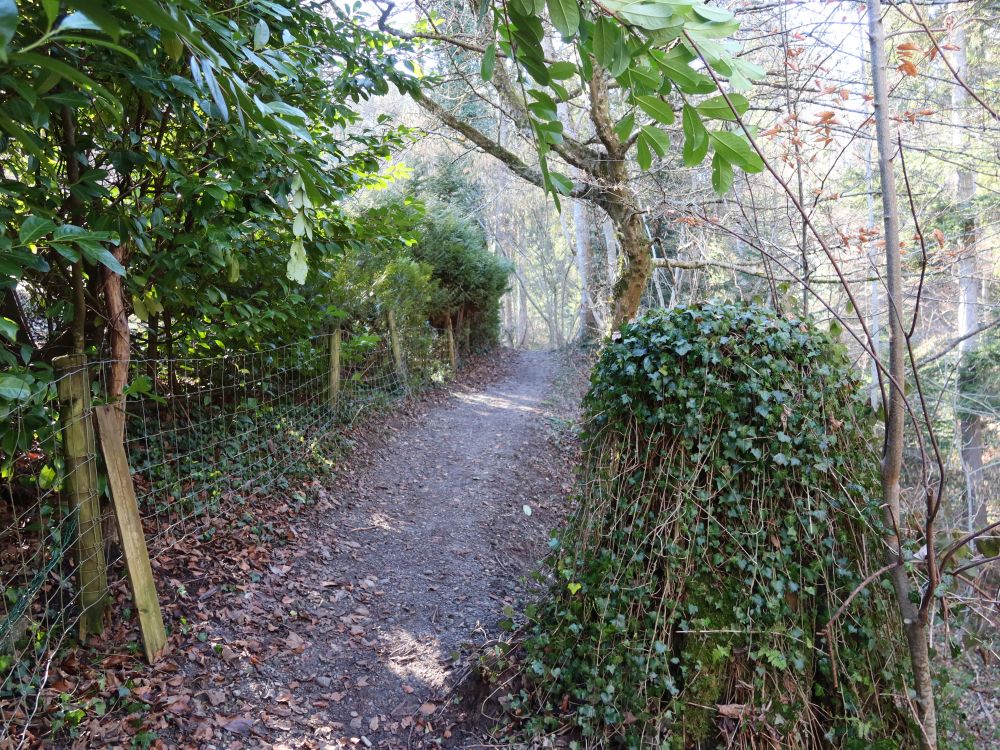 Pfad am Zilbach