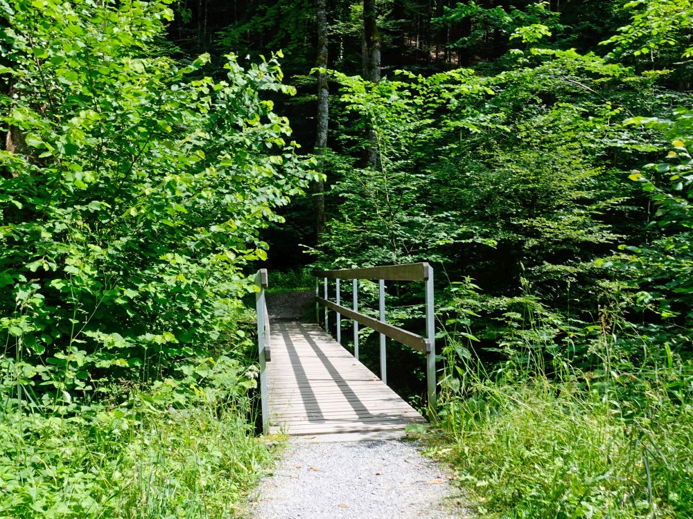 Steg über den Farenbach