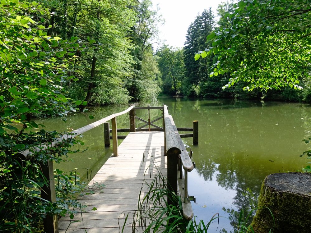 Teich im Farenbachtobel